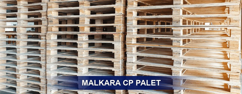 Malkara Standart Tipler
