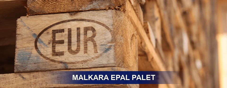 Malkara Standart Yapı